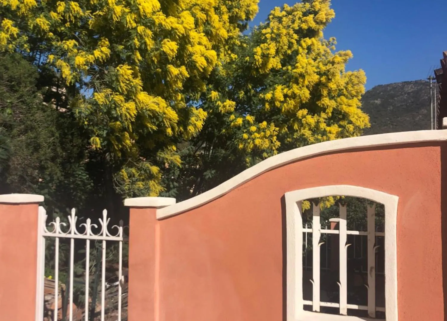 Les Terrasses De Lo Bed & Breakfast Bormes-les-Mimosas 0*,
