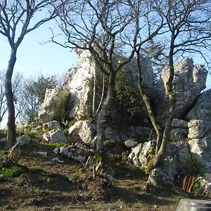 https://le-rocher-du-samoyede.inbrittany.com