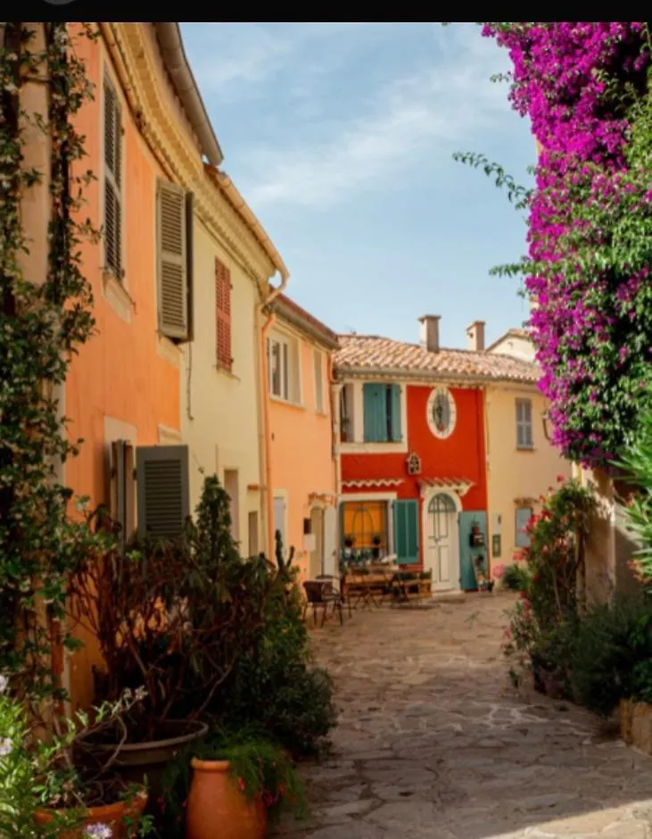 Les Terrasses De Lo Bed & Breakfast Bormes-les-Mimosas 0*,